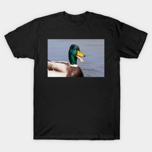 The laughing duck T-Shirt